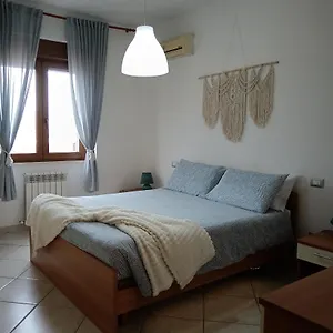 Center Olbia